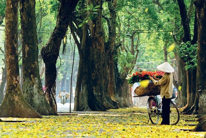 things to do in Hanoi