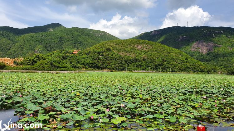 vietnam photos - honeymoon in vietnam