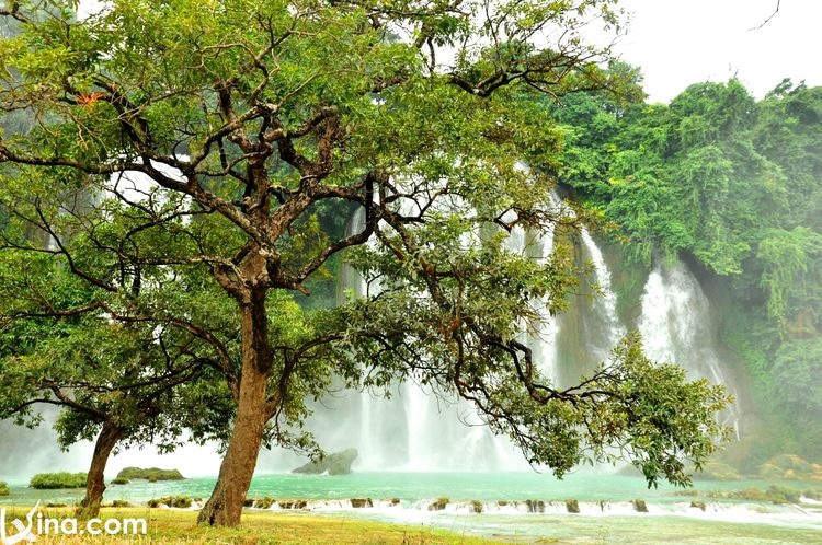 vietnam photos - most beautiful waterfalls in vietnam