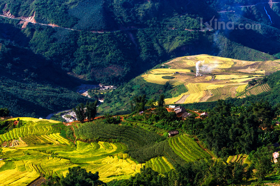 Rice filed of terraces