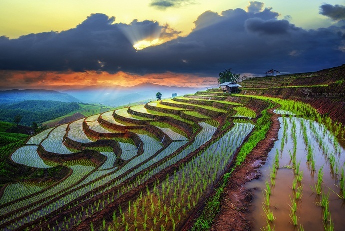 what are attractions in sin ho - terraced fields