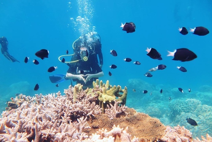 binh ba island - dive and see coral