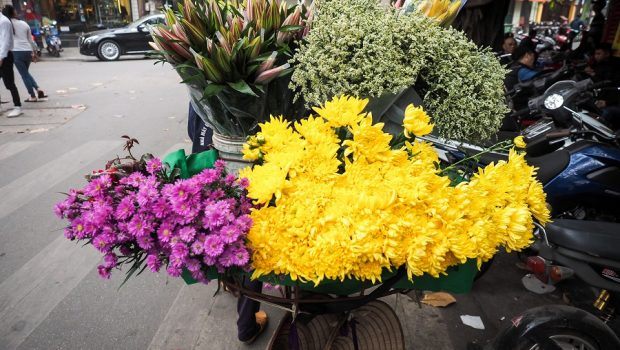 flower bicycle