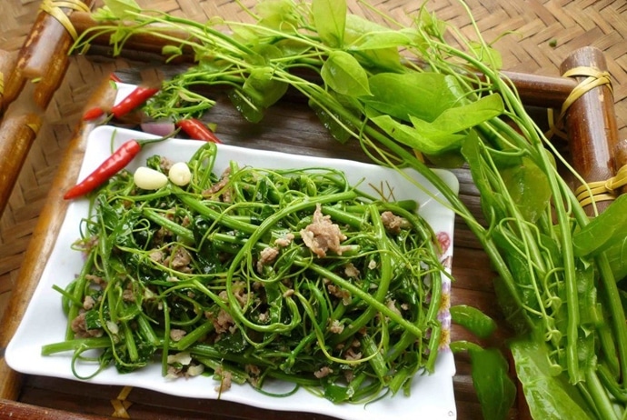 the delicious foods in tam dao - chayote