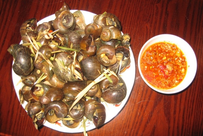 vietnamese street style snails – the introduction