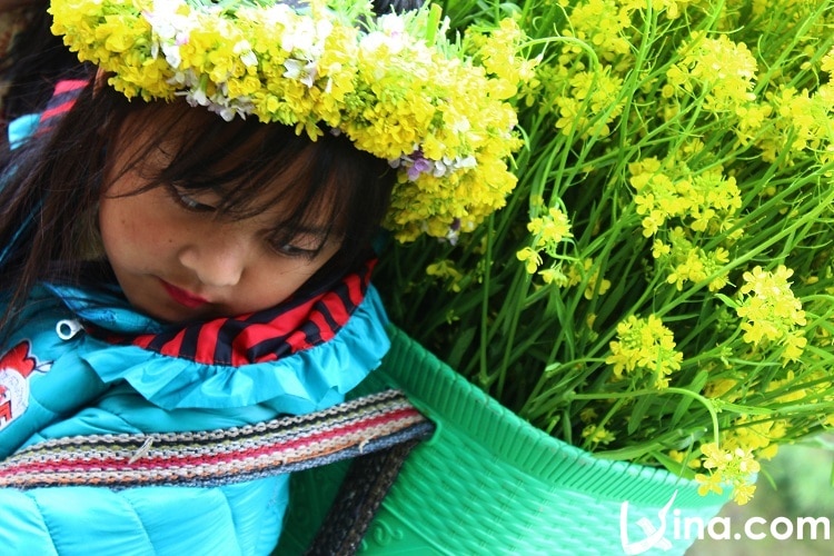 ha giang in spring photos