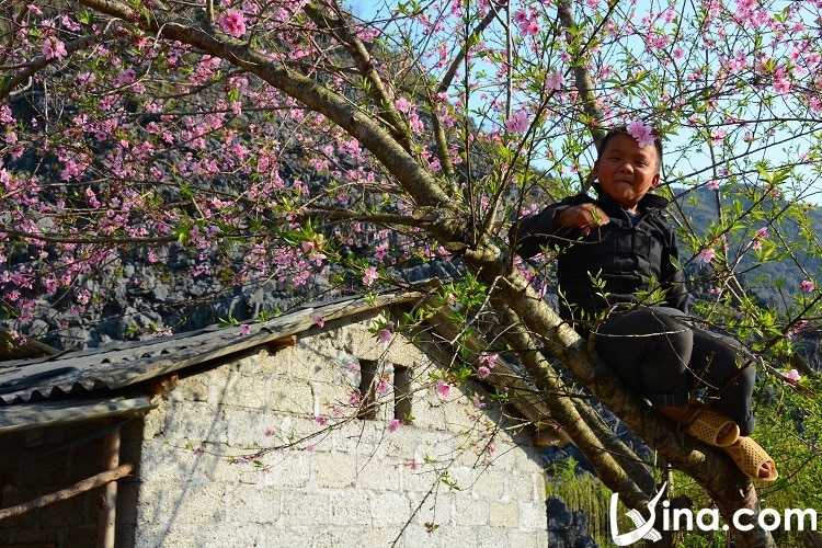 ha giang in spring - thang 3