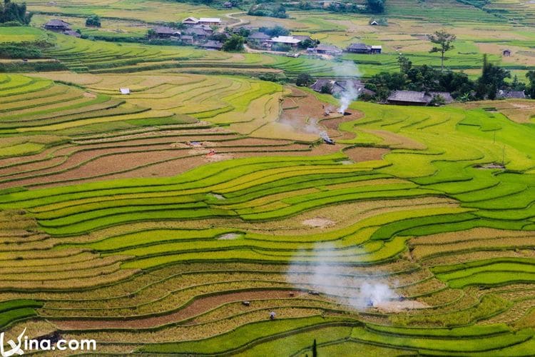 vietnam photos - yen bai in september photos