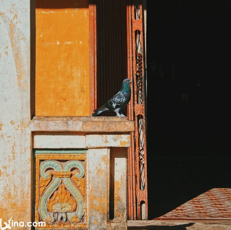 vietnam photos - photos of colorful khmer pagodas