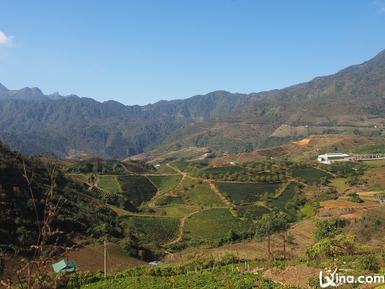 sapa in winter - gorgeous landscapes