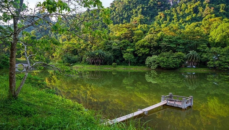 cuc phuong national park - things to see in cuc phuong national park in Vietnam 