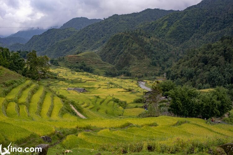 vietnam photos - the beauty of y ty