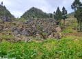 vietnam photos - photos of ha giang landscape by tuyet nguyen