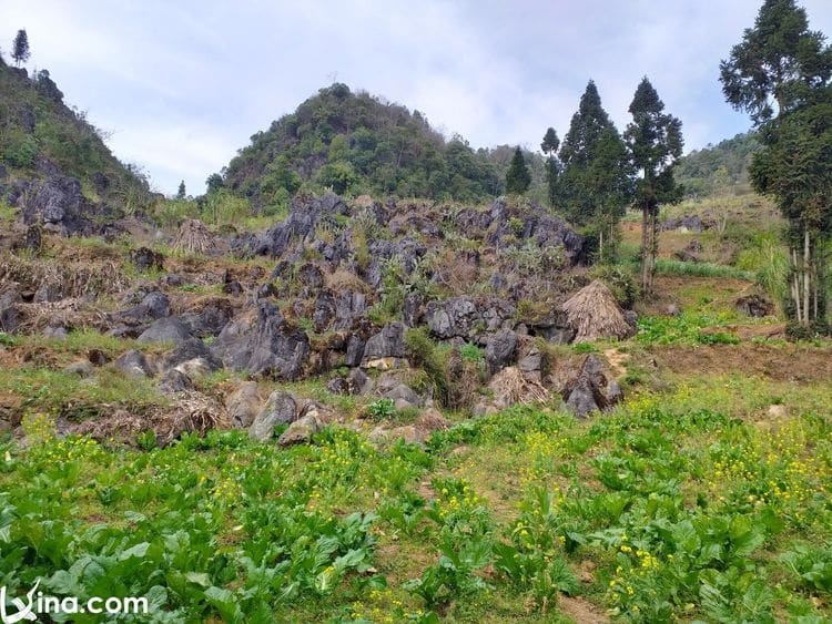 vietnam photos - photos of ha giang landscape by tuyet nguyen