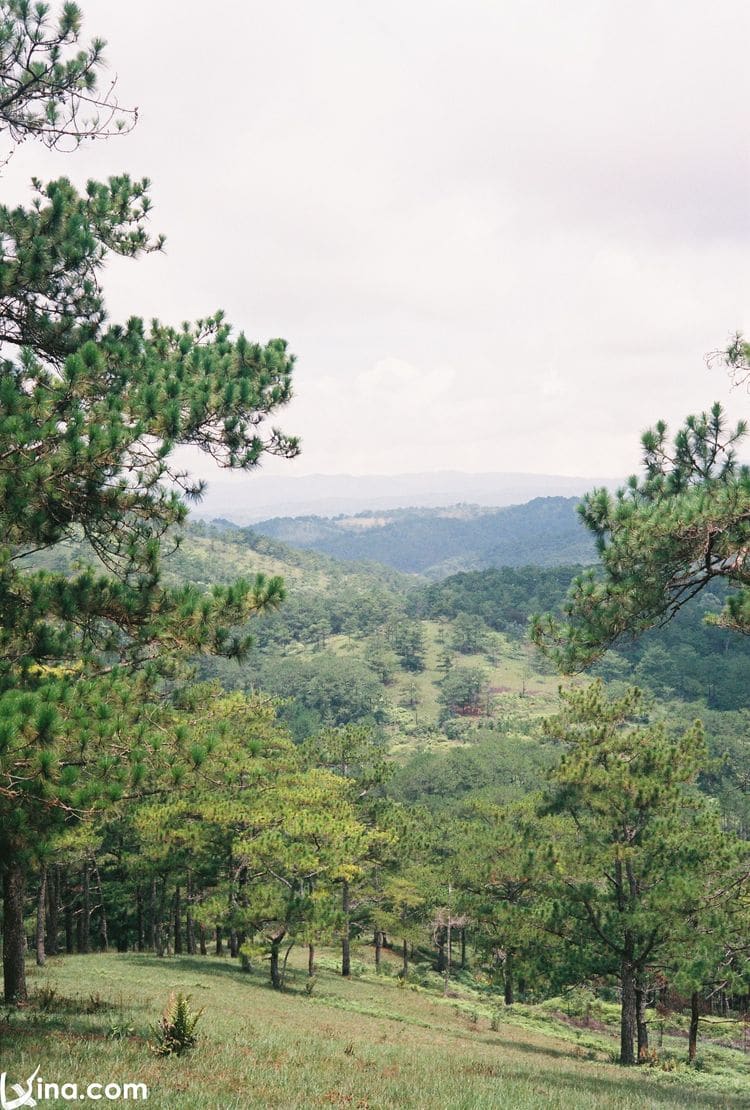 vietnam photos - landscape of dalat