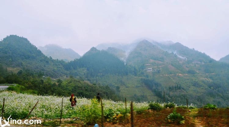 vietnam photos - photos of ha giang landscape by tuyet nguyen