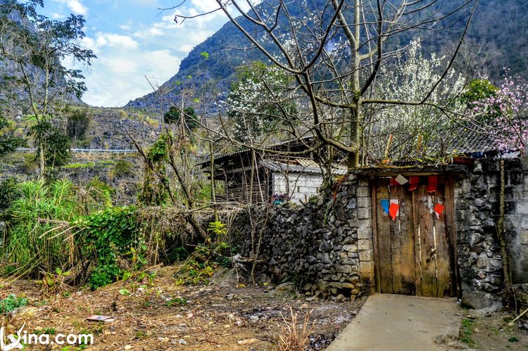 vietnam photos - photos of ha giang landscape by tuyet nguyen