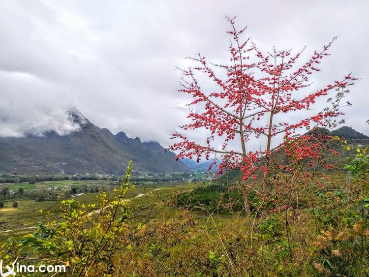 vietnam photos - photos of ha giang landscape by tuyet nguyen