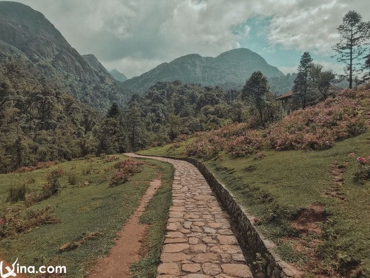 vietnam photos - beautiful photos of sapa landscapes