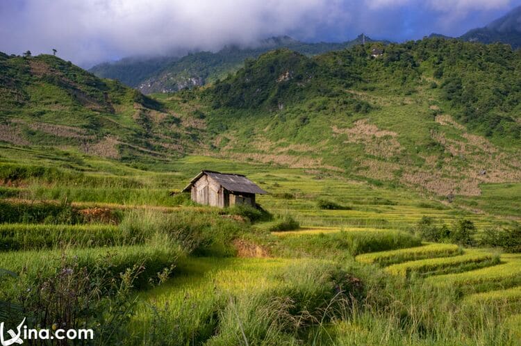 vietnam photos - the beauty of y ty