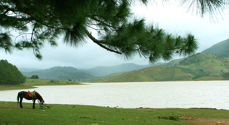 what is the best time to visit golden stream lake vietnam photos - golden stream lake