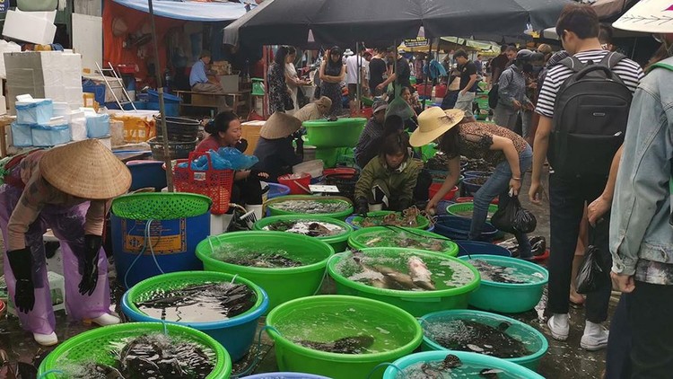 vietnam photos - ha long market