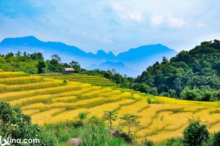 vietnam photos - khuoi my village photos