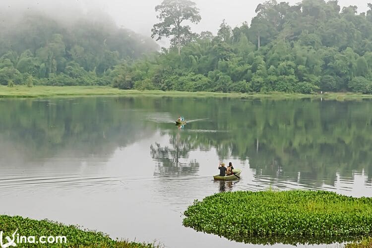 vietnam photos  - nam cat tien national park photos