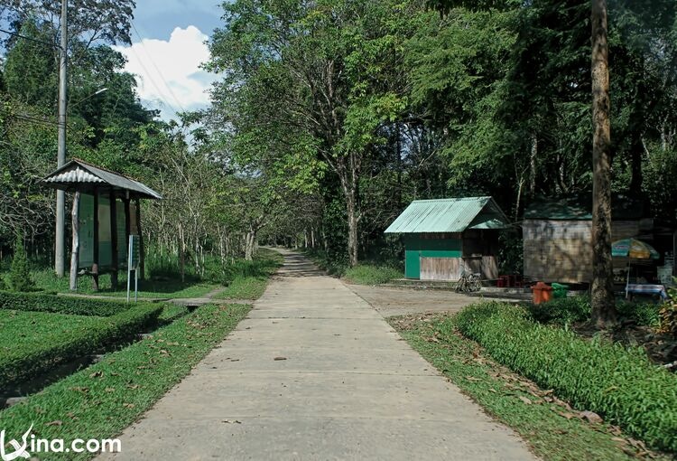 vietnam photos  - nam cat tien national park photos