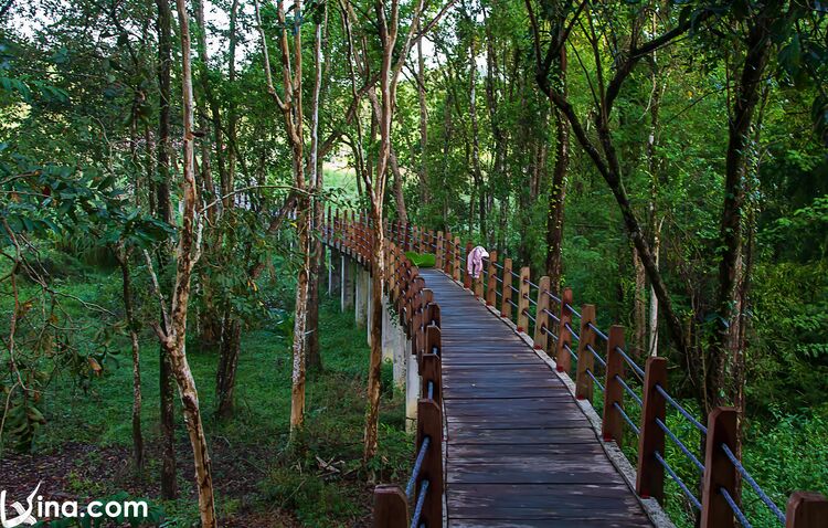 vietnam photos  - nam cat tien national park photos