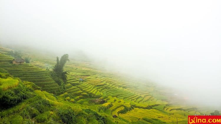 tay bac vietnam photos - tay bac photos