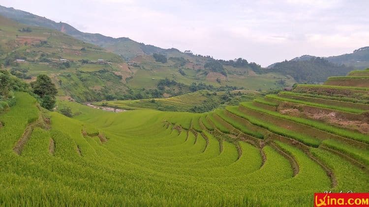 tay bac photo in vietnam vietnam photos - tay bac photos