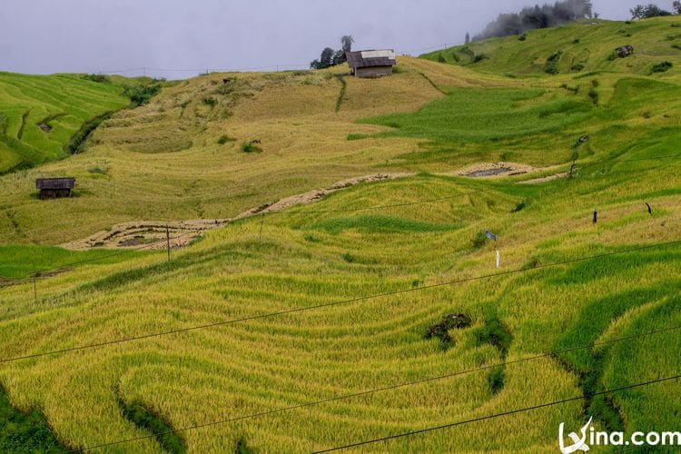 vietnam photos - beauty of y ty photos