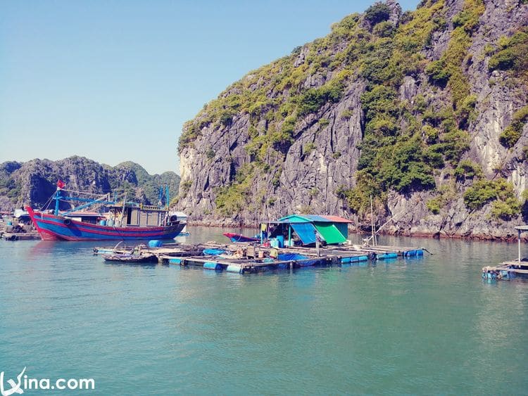 vietnam photos - lan ha bay photos