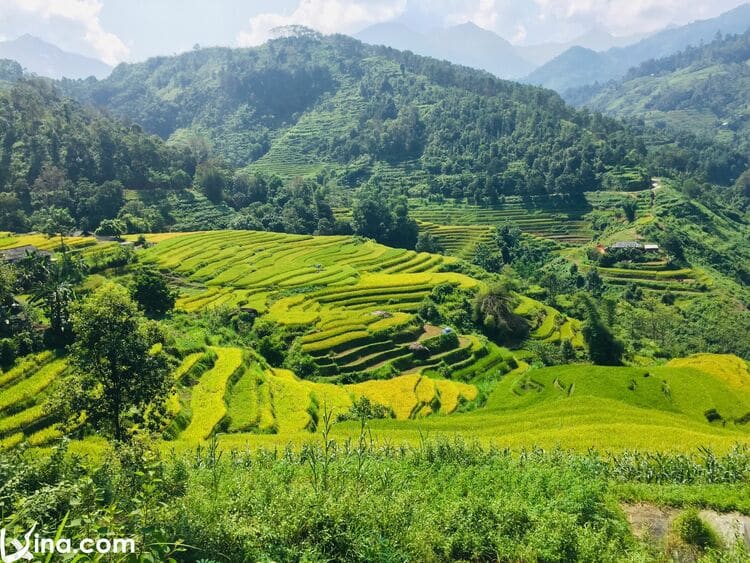 vietnam photos - phung village photos