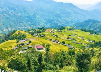 Phung Village Photos Of Ripe Terraced Rice Season In Ha Giang