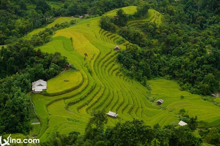 vietnam photos - phung village photos