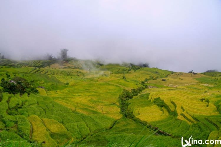 vietnam photos - beauty of y ty photos