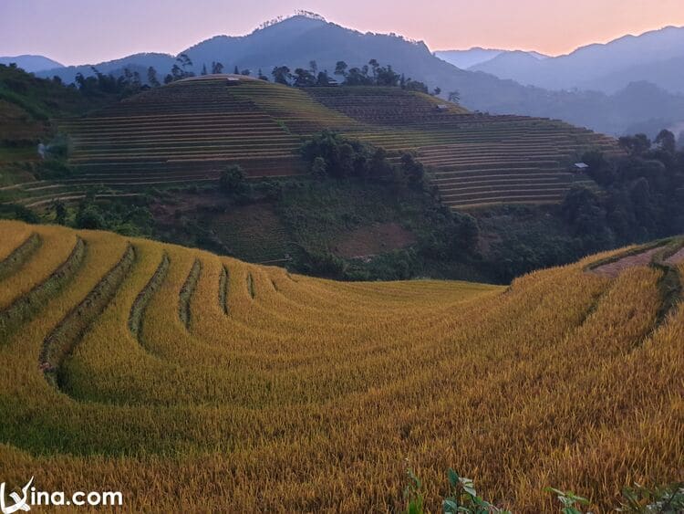 vietnam photos - the endless beauty of mu cang chai photos