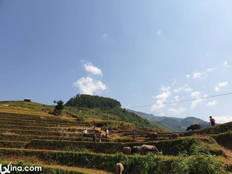 vietnam photos - the endless beauty of mu cang chai photos