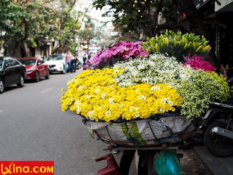 things to do in hanoi