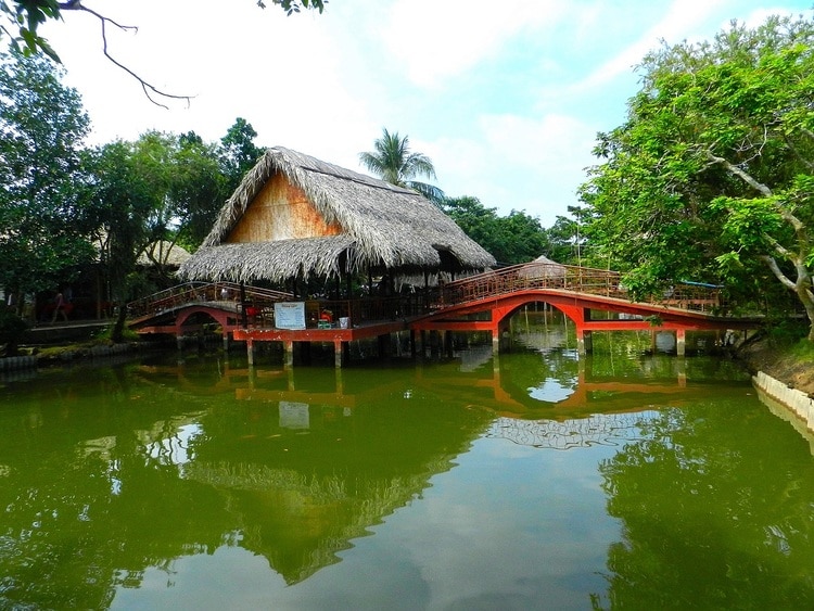 vietnam photos - con phung island