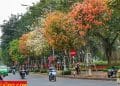 vietnam photos - hanoi in changing season photos