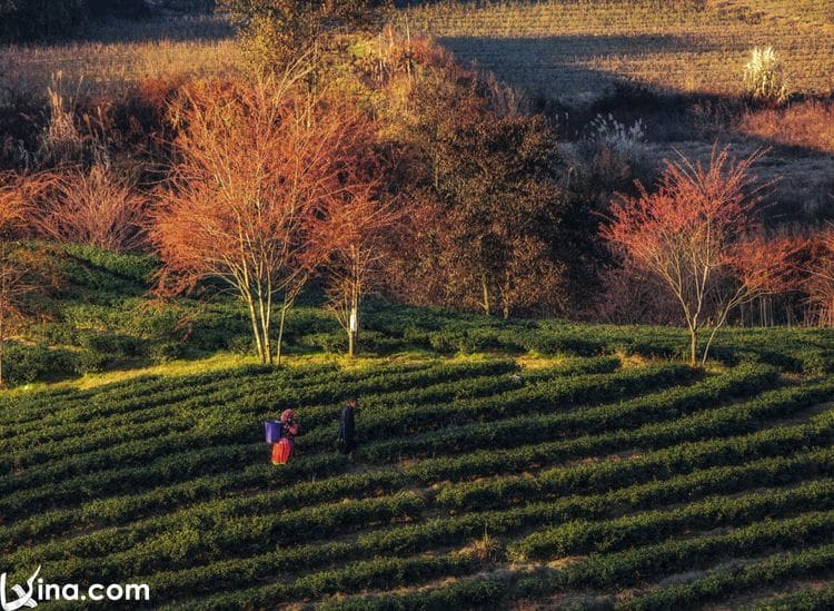 vietnam photos – landscapes of sapa