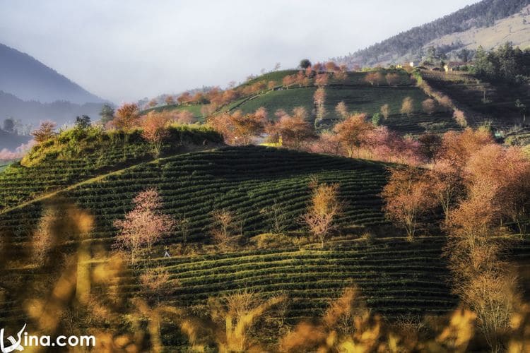 vietnam photos – landscapes of sapa