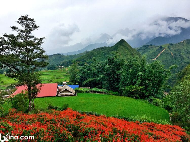 vietnam photos - landscapes of sapa