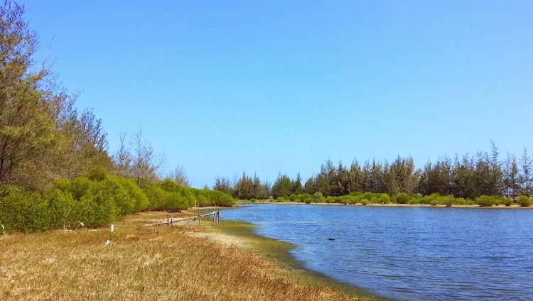 binh chau - phuoc buu nature reserve in vung tau