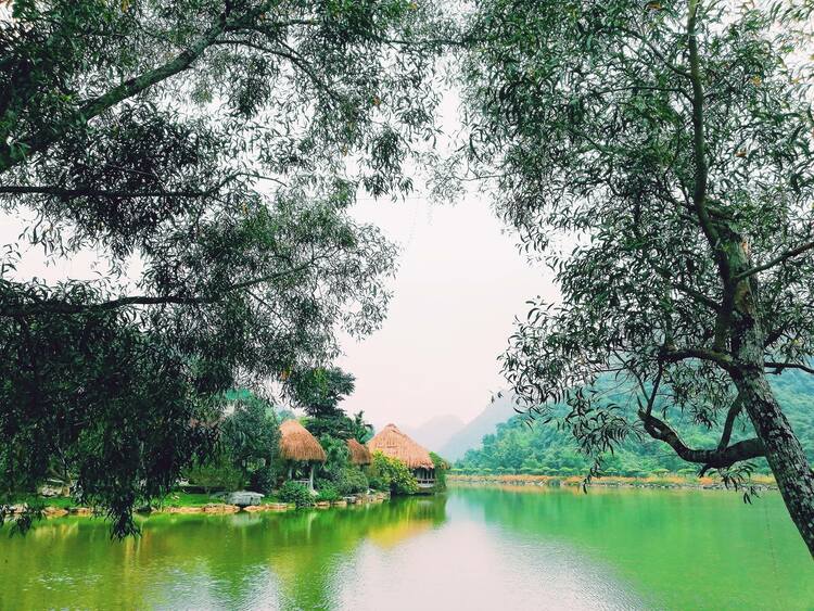 thung nham bird garden ninh binh