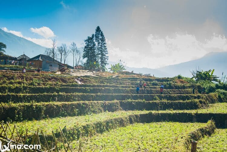 vietnam photos - landscape photos of y ty