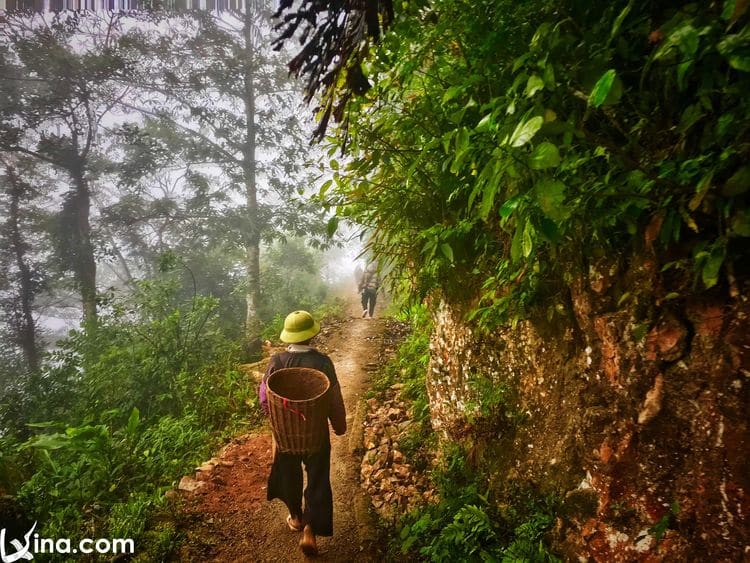 vietnam photos - beauty of mai chau photos